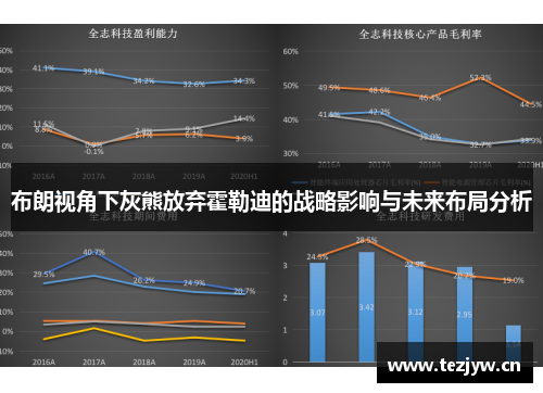 布朗视角下灰熊放弃霍勒迪的战略影响与未来布局分析