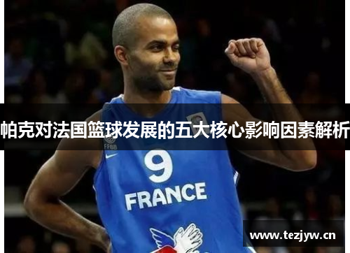 帕克对法国篮球发展的五大核心影响因素解析 帕克对法国篮球发展的五大核心影响因素解析
